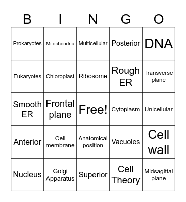 Cells, Anatomical Position, Body Planes Bingo Card