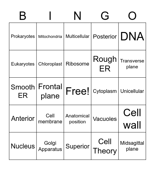 Cells, Anatomical Position, Body Planes Bingo Card