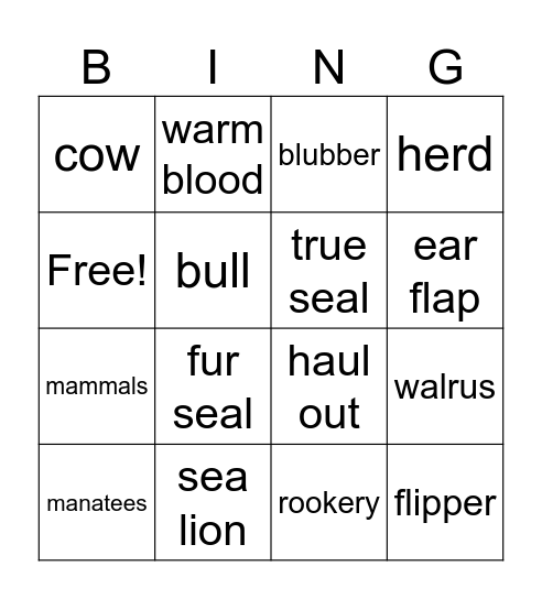 Piniped Bingo Card