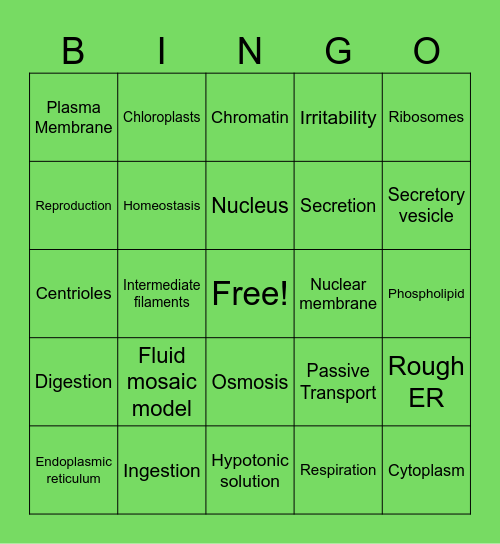 Cell structure and Function Bingo Card