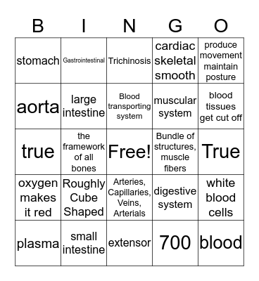 LIZZ&BREE Bingo Card