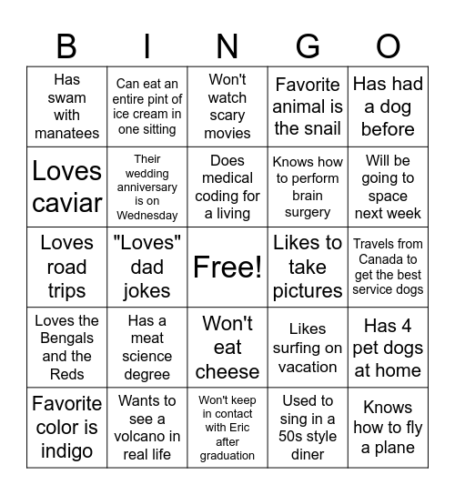 Icebreaker Time! Bingo Card