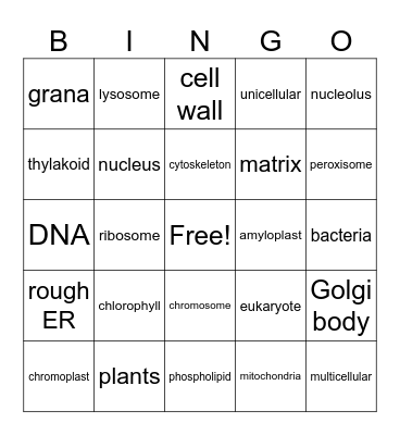 CELLO Bingo Card