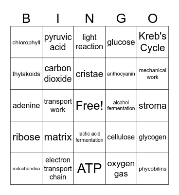 cellular energy bingo Card