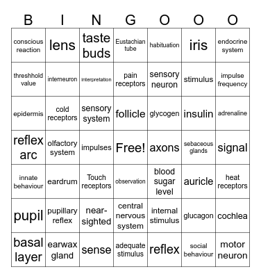 Perception, Behaviour, and Regulation VWO Bingo Card