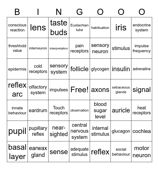 Perception, Behaviour, and Regulation VWO Bingo Card