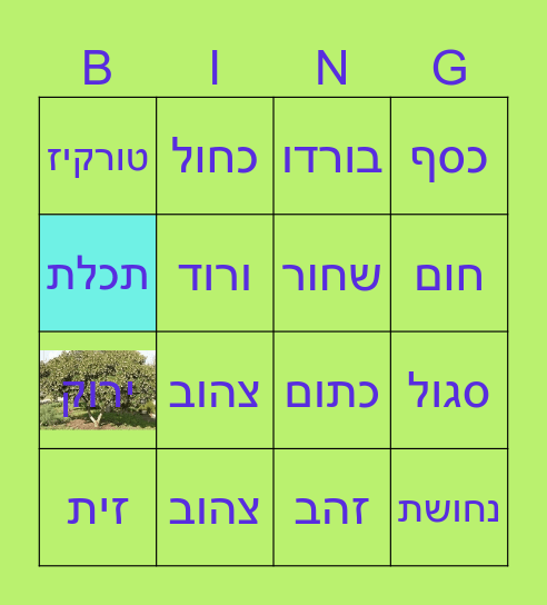 צבעים לילדי משעולים Bingo Card