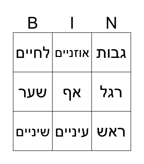 אברי גוף Bingo Card