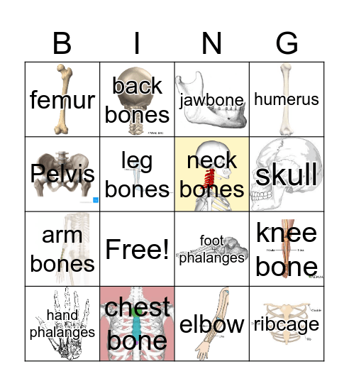 BONES Bingo Card