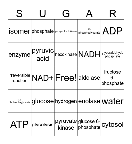 Glycolysis Bingo Card