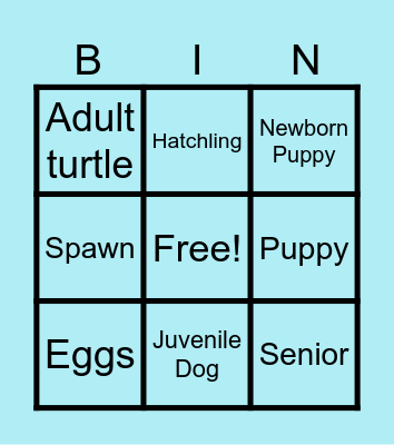 Turtle lifecycle Bingo Card