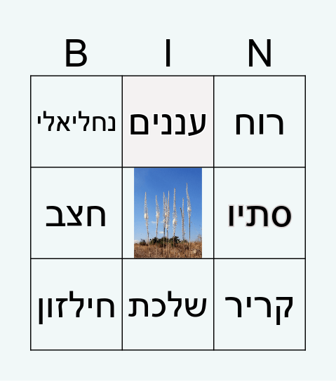 עונת הסתיו Bingo Card