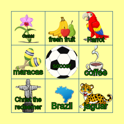 Brazil Bingo Card