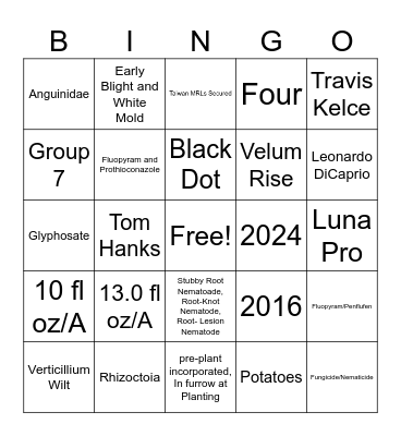 Velum Rise Bingo Card