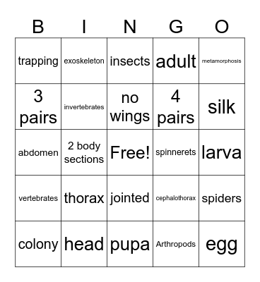 Arthropods Bingo Card