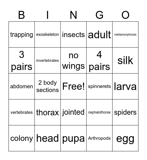 Arthropods Bingo Card