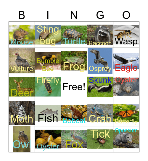 Westmoreland Animals Bingo Card