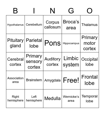 AP Psych Unit 3 Review - Biology of the Brain Bingo Card