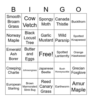 Midwest Invasive Species BINGO Card