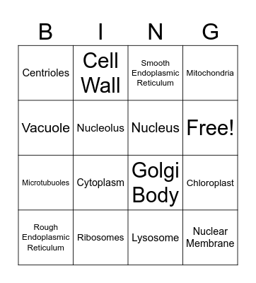 Cell Organelles Bingo Card
