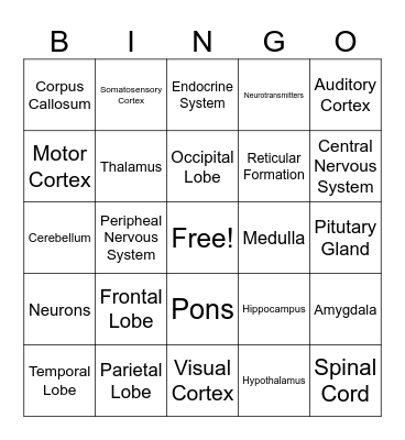 Brain Bingo Card