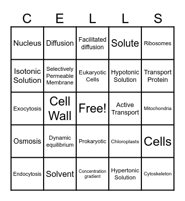 Module 7 Bingo Review Bingo Card
