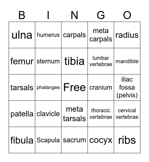 Bone Bingo Card