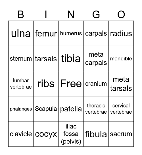 Bone Bingo Card