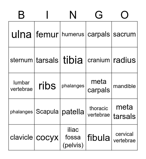 Bone Bingo Card
