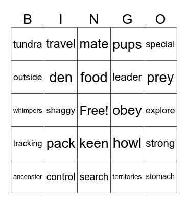 The Wonder of Wolves Bingo Card