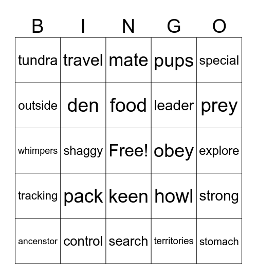 The Wonder of Wolves Bingo Card