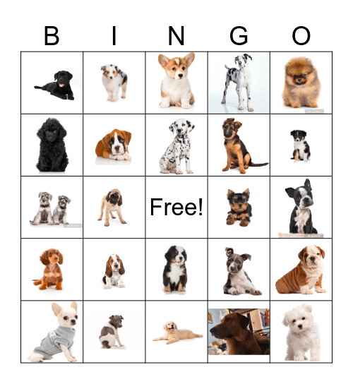 Puppy Bingo! Bingo Card