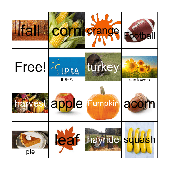 IDEA Fall Festival Bingo Card