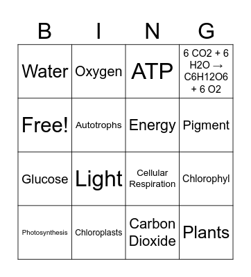 Photosynthesis Bingo Card