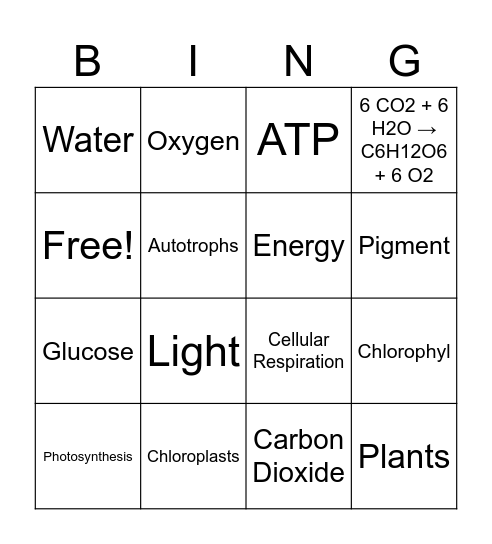 Photosynthesis Bingo Card