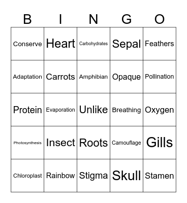 Science Grade 4 & 5 Bingo Card
