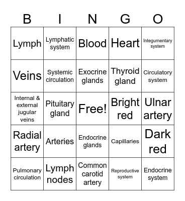 Circulatory System Bingo Card