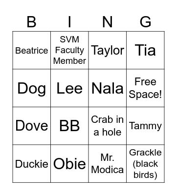 Campus Cat Bingo Card