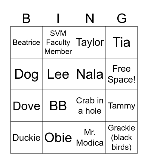 Campus Cat Bingo Card