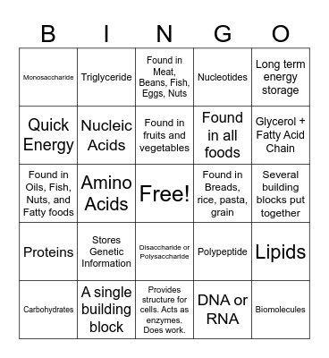 Biomolecule Bingo Card