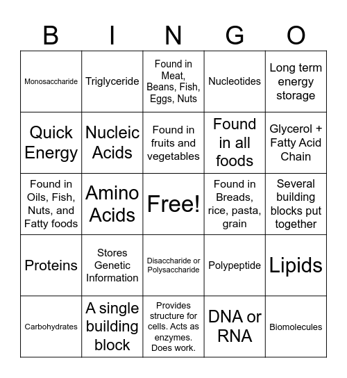 Biomolecule Bingo Card