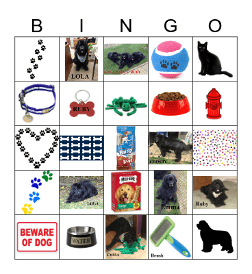 NEWFOUNDLAND BINGO Card