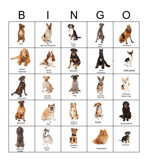 Dog Breed Bingo Card