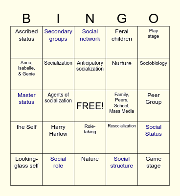 Unit 3 - 4 Sociology Terms Bingo Card