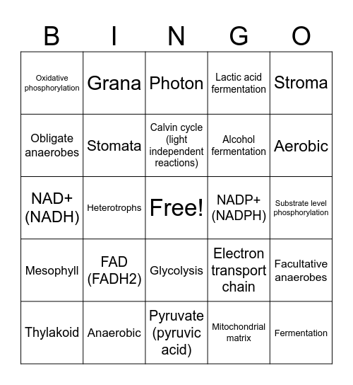 Unit 5 Review Bingo Card