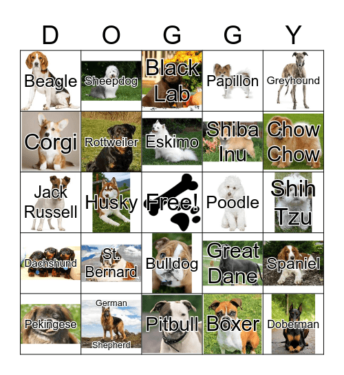 DOG BINGO Card