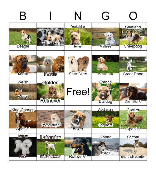 National Dog Day Bingo Card