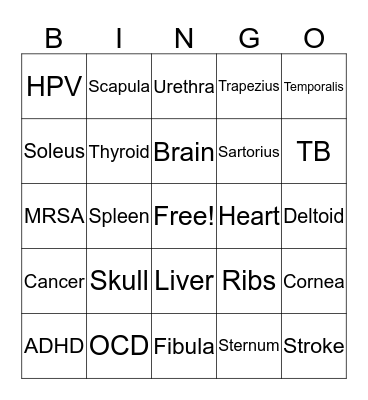 Autopsy Bingo Card