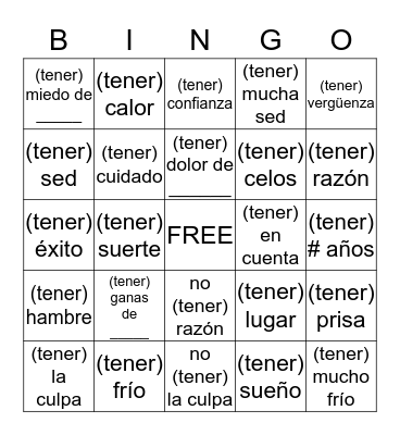 Idioms with Tener Bingo Card