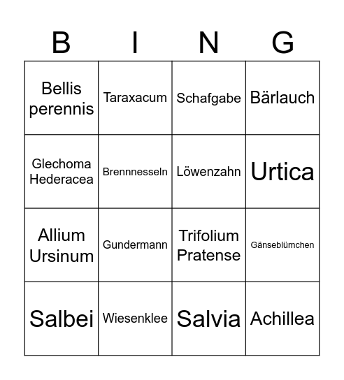 Kräuter Bingo Card